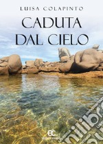 Caduta dal cielo libro