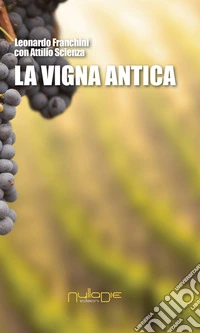La vigna antica
