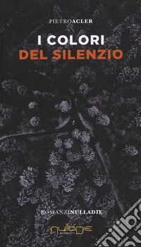 Il colore del silenzio libro