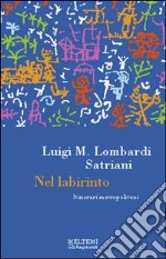 Nel labirinto. Itinerari metropolitani libro