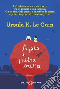 Agata e pietra nera libro