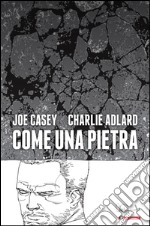 Come una pietra libro