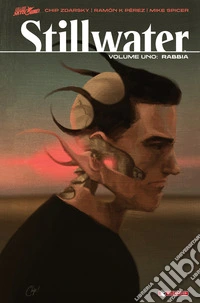 Stillwater. Vol. 1: La rabbia libro