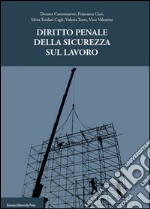 Diritto penale della sicurezza del lavoro libro