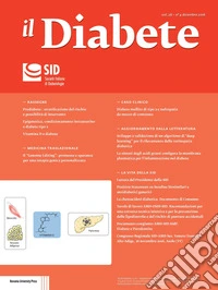 Il diabete (2016). Vol. 28