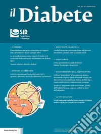 Il diabete (2017). Vol. 29