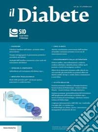 Il diabete (2017). Vol. 29 libro