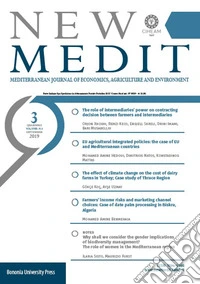 New Medit (2019). Vol. 3