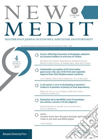 New Medit (2019). Vol. 4 libro