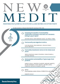 New Medit (2020). Vol. 2 libro