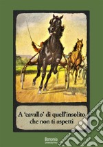 A «cavallo» di quell'insolito che non ti aspetti. Il racconto breve della Collezione Martini libro