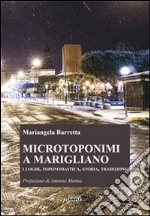 Microtoponimi a Marigliano. Luoghi, toponomastica, storia, tradizione libro