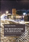 Microtoponimi a Marigliano. Luoghi, toponomastica, storia, tradizione libro