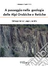 A passeggio nelle Alpi Orobiche e Retiche. Un'esperienza lunga una vita libro