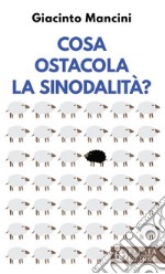 Cosa ostacola la sinodalità? libro