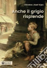 Anche il grigio risplende libro