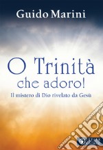 O Trinità che adoro! Il mistero di Dio rivelato da Gesù libro