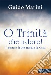 O Trinità che adoro! Il mistero di Dio rivelato da Gesù libro