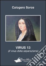 Virus 13 (il virus della separazione) libro