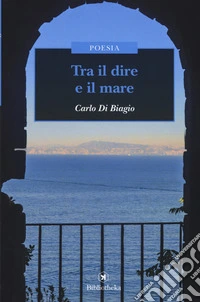 Tra il dire e il mare libro