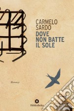 Dove non batte il sole libro