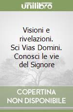 Visioni e rivelazioni. Sci Vias Domini. Conosci le vie del Signore libro