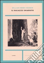 Il ragazzo smarrito libro