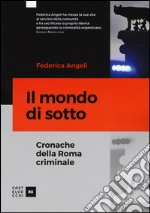 Il mondo di sotto. Cronache della Roma criminale libro