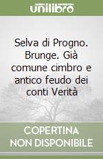 Selva di Progno. Brunge. Già comune cimbro e antico feudo dei conti Verità libro