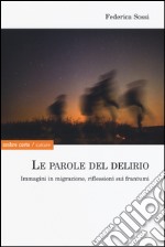 Le parole del delirio. Immagini in migrazione, riflessioni sui frantumi libro