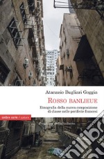 «Rosso Banlieue». Etnografia della nuova composizione di classe nelle periferie francesi libro