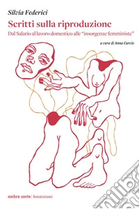 Scritti sulla riproduzione. Dal salario al lavoro domestico alle «insorgenze femministe» libro