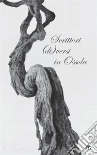 Scrittori (di)versi in Ossola libro