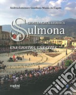 Giostra cavalleresca di Sulmona. Una giostra, una città. Ediz. illustrata