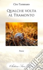 Qualche volta al tramonto libro