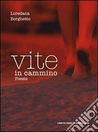 Vite in cammino libro