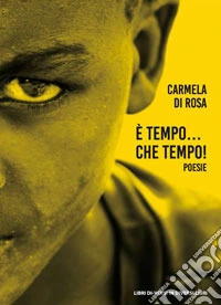 È tempo... Che tempo! libro