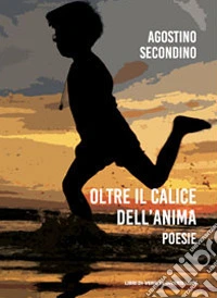Oltre il calice dell'anima libro