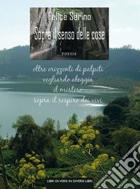 Sopra il senso delle cose libro
