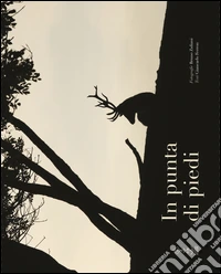 In punta di piedi. Ediz. illustrata libro