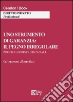 Uno strumento di garanzia. Il pegno irregolare. Profili giurisprudenziali libro