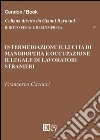 Intermediazione illecita di manodopera e occupazione illegale di lavoratori stranieri libro