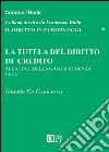 La tutela del diritto di credito. Alla luce della giurisprudenza CEDU libro