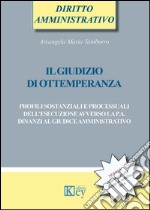 Il giudizio di ottemperanza. Profili sostanziali e processuali dell'esecuzione avverso la p.a. dinanzi al giudice amministrativo