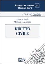 Diritto civile libro