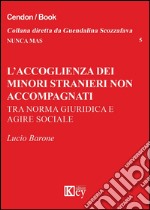 L'accoglienza dei minori stranieri non accompagnati. Tra norma giuridica e agire sociale libro