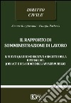 Il rapporto di somministrazione di lavoro. Il nuovo quadro normativo a seguito della riforma del jobs act e del codice degli appalti pubblici libro