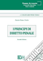 I principi del diritto penale libro