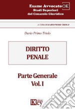 Diritto penale. Parte generale. Vol. 1 libro