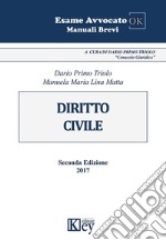 Diritto civile libro